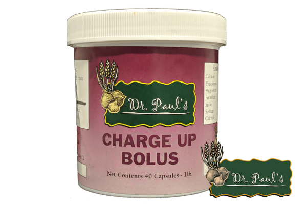 Charge Up Bolus