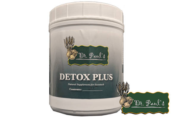 Detox Plus Bolus