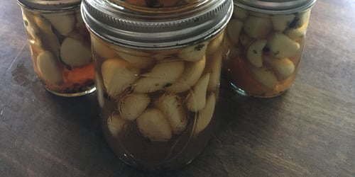 Garlic in jars