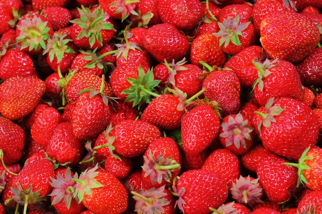 Strawberries- Regalia